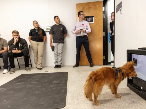 Dog touches screen with nose at Canine Cognition Center