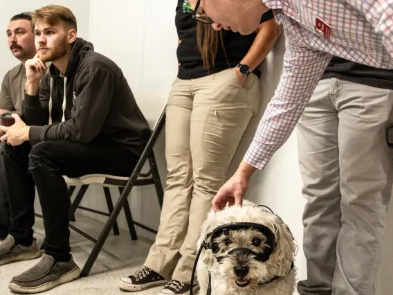 Dog at Canine Cognition Center lab wearing experimental googles