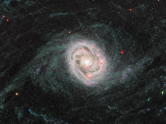 The spiral arms of nearby galaxy NGC 1433 light up in this image taken by the James Webb Space Telescope, revealing evidence of extremely young stars releasing energy.
