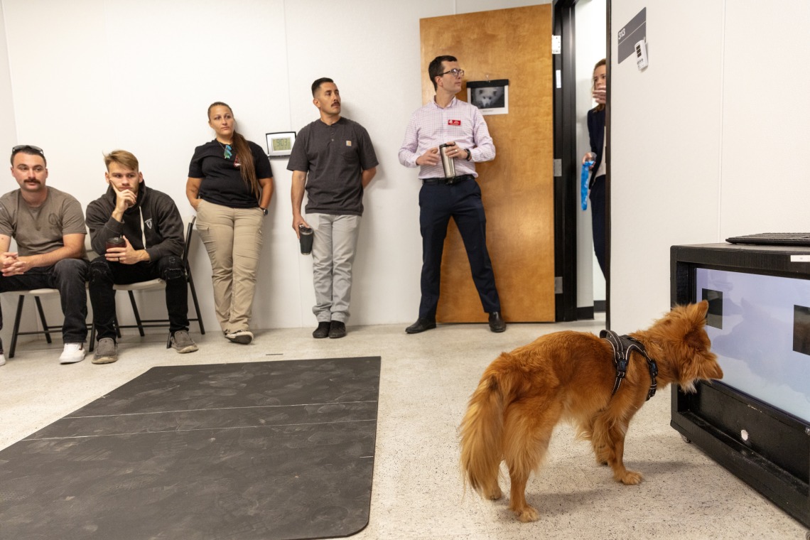 Dog touches screen with nose at Canine Cognition Center