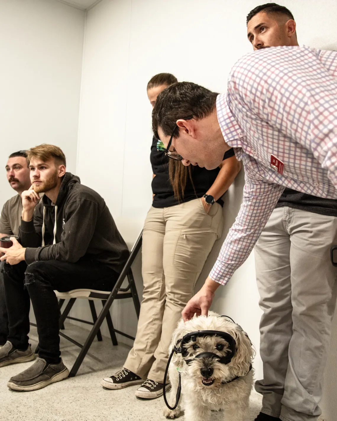 Dog at Canine Cognition Center lab wearing experimental googles