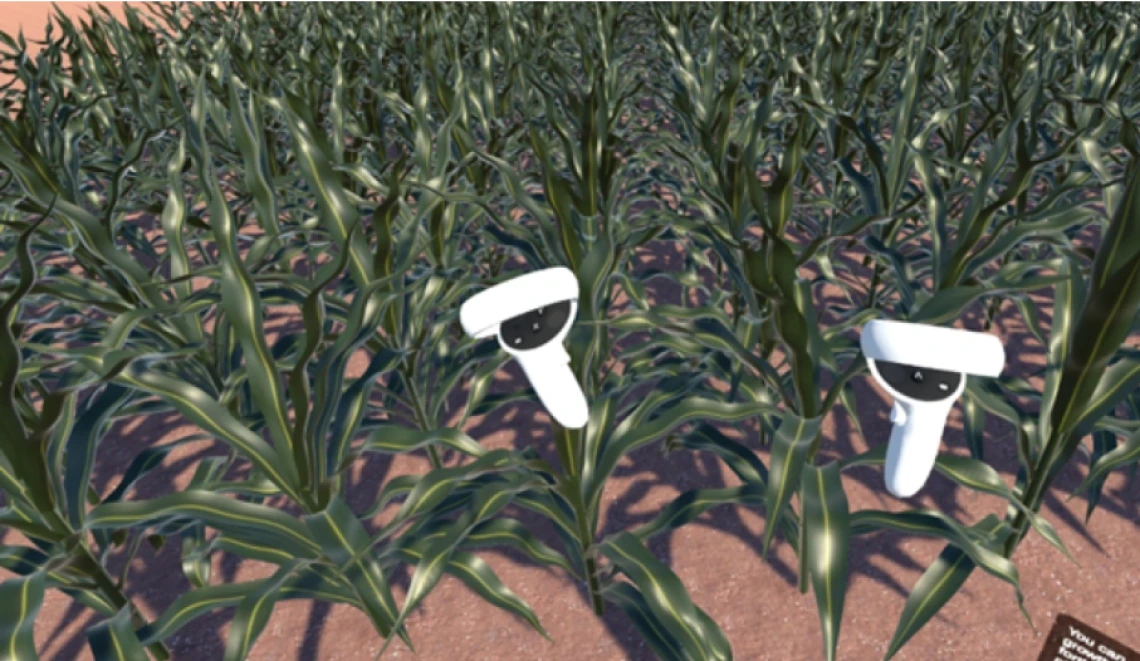 A virtual reality representation of sorghum plants created by VR-Bio-Talk