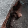 A cloud of dust rolls out from an avalanche at the base of a cliff on Mars’ north polar ice cap. The image was captured in 2010 by the University of Arizona’s HiRISE camera onboard NASA’s Mars Reconnaissance Orbiter.